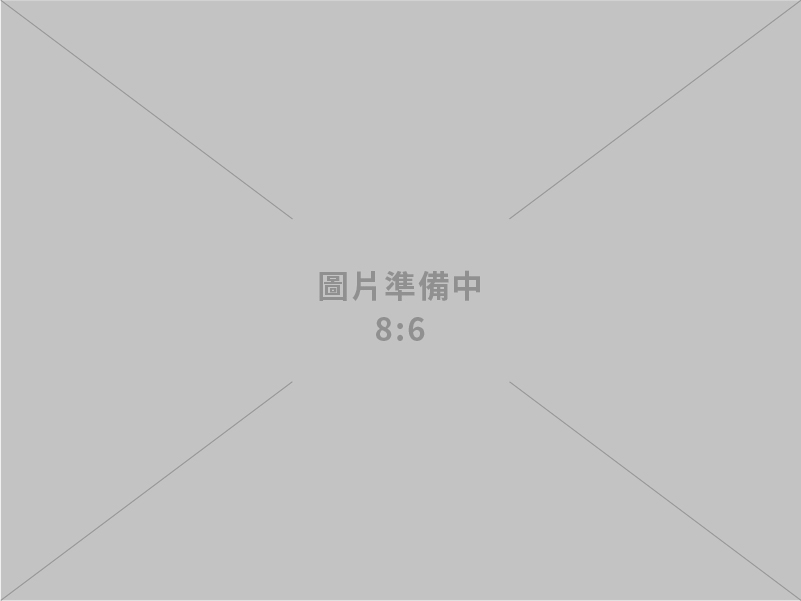 網站設計架設、內部資訊系統開發、網路架構規劃及維護